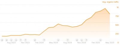 raffya organic traffic chart